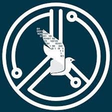 CyberPeace Foundation Logo